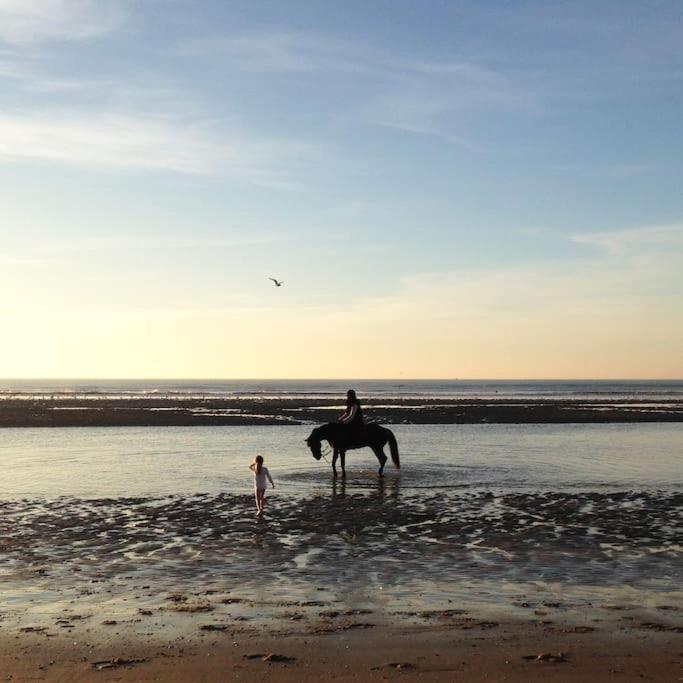 Appartement 2 Chambres Couleur Dune, Piscine, Parking Gratuit Le Touquet ภายนอก รูปภาพ